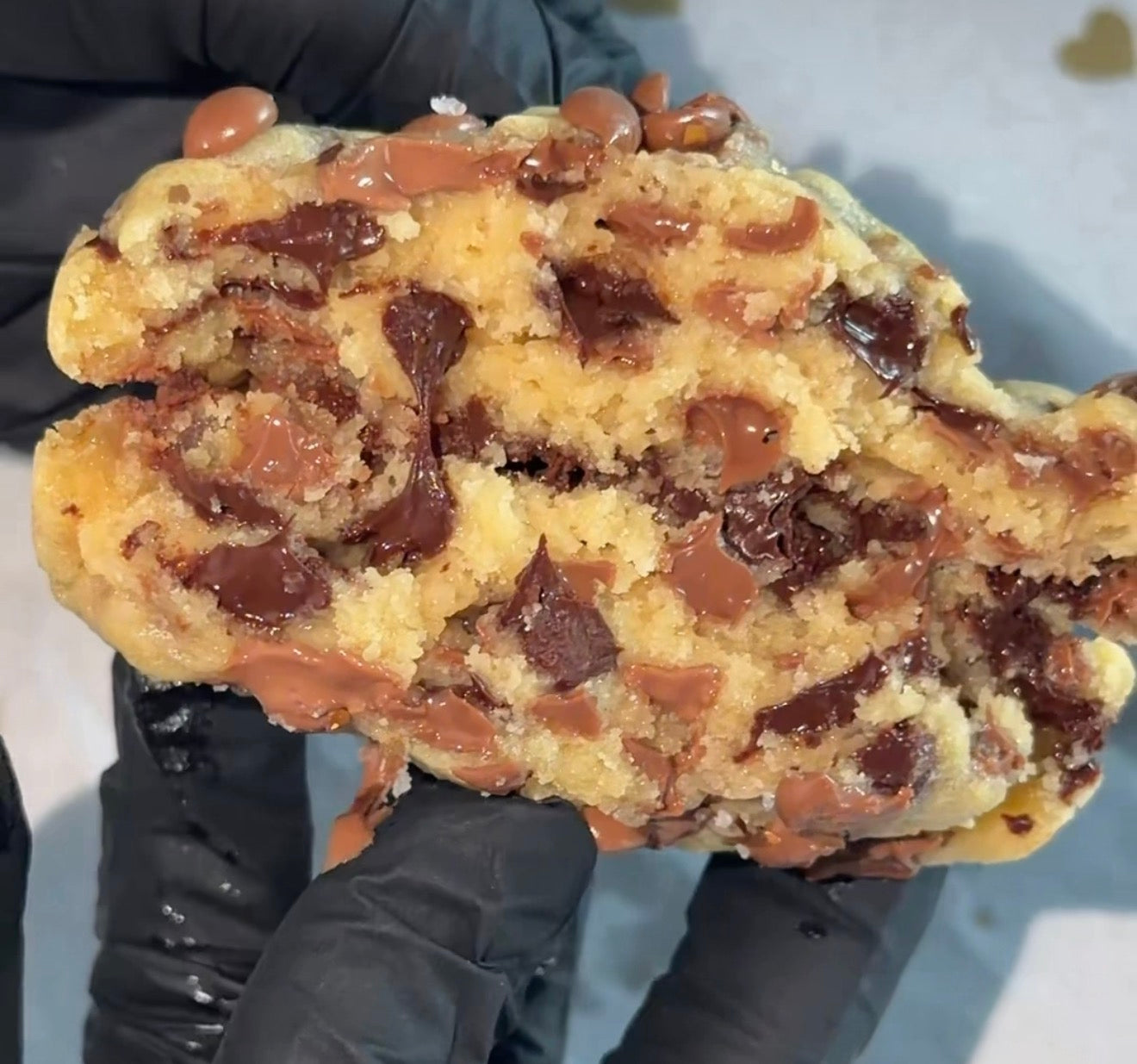 Chocolate Chip Cookie